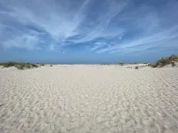 Landhaus Liebe, family and pet-friendly vacation home between sea and moor. - Homestays