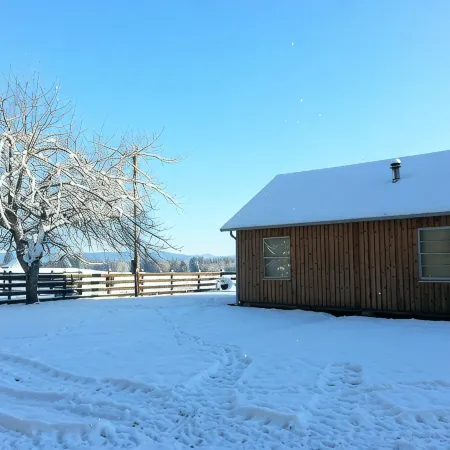 Rustic Cabin on 140-acre Working Cattle Ranch
