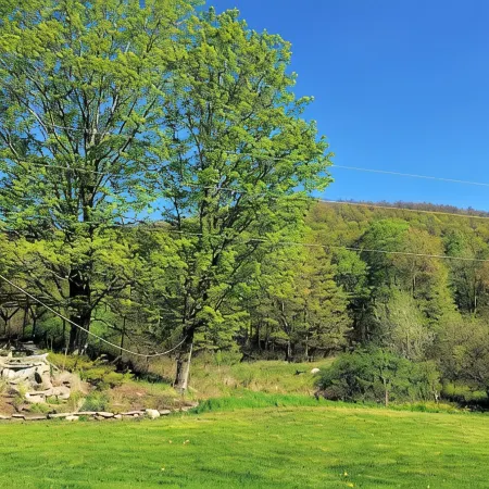 Hawks Mountain Farm, full apartment on a working farm.
