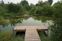Backyard Trails and Lake Hayward with Canoe!