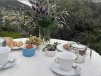 Elia Hotels in Patmos