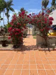 Spacious one bedroom oceanfront apartment