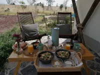 Salterra Glamping - Homestays