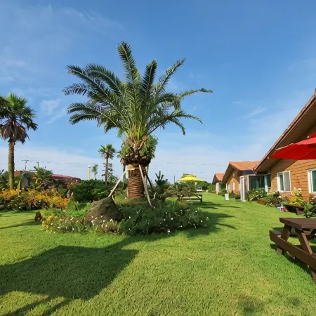 Jeju Healing Resort Отели рядом с достопримечательностью «Зоопарк «Раон»»