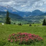 Chalet T6 confort proche Station