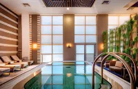 Kfar Maccabiah Business & Sport Hotel - Pools