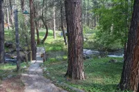 Storybook Cottage in the Heart of the Big Horn Mountains - Homestays