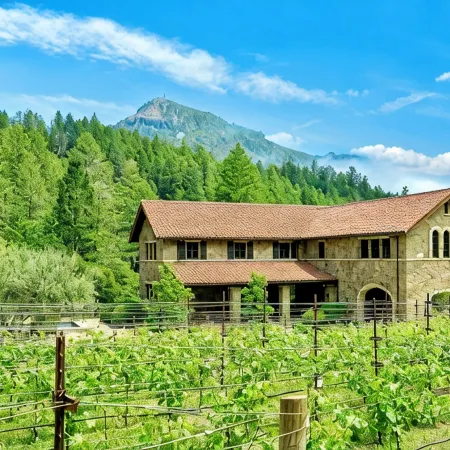 Luxury 38-Acre Calistoga Mansion - Pool, Vineyard, Amazing Views, Boccee & More
