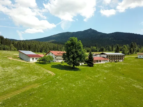 Osserhotel - B&B am Osser - Bjergudsigt