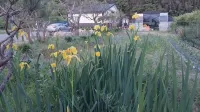Gangjin Sandeul Farm Pension - 家庭旅館