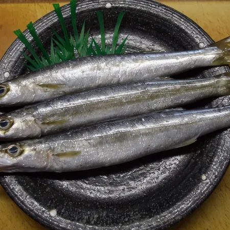 Kappo Tsunen Minshuku Yamaya
