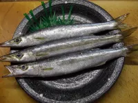 Kappo Tsunen Minshuku Yamaya