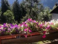 Sasso Rosso Apartment with Alps View Hotels in Folgarida