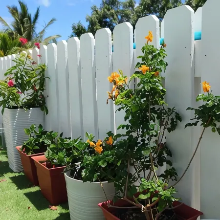 Generator! Private Pool Villa - Sapphire Beach 5min walk & Washer/Dryer WiFi 9