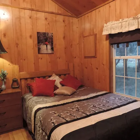 Hansel & Gretel Charming Cabin @ HomeAway Ranch & NoahSanctuary - Pet Friendly!