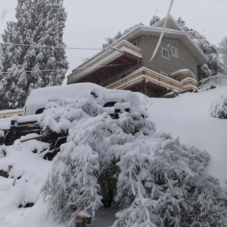 LAKEVIEW CABIN!! AIRCONDITIONED!!  AMPLE PARKING !!