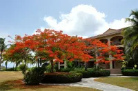 Pelican Point - Homestays