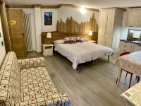 Résidence Château Royal Hotels in Cogne
