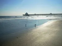 SEAS THE DAY: Charming Folly Beach Apartment awaits your arrival! - WiFi