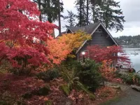 Bremerton Sheltered Waterfront - 2-Sterne