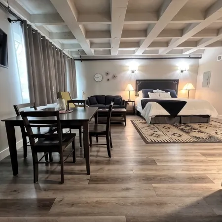Brand new studio apartment rich with amenities! Less than 5 minutes to downtown