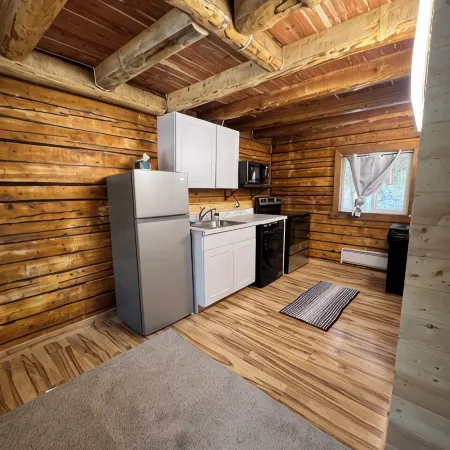 Petite Cabin With Ladder Loft