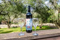 Next to Sequoia National Park Entrance and Pet Friendly! - Boutique