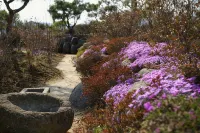 Damyang Songjukheung Pension - 3 ดาว