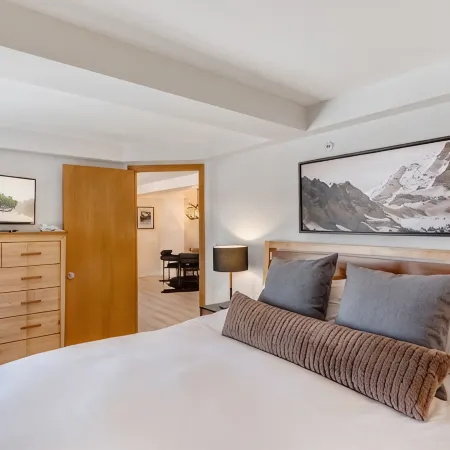Ski-In/Ski-Out 1 BD Modern Luxury Slopeside Retreat