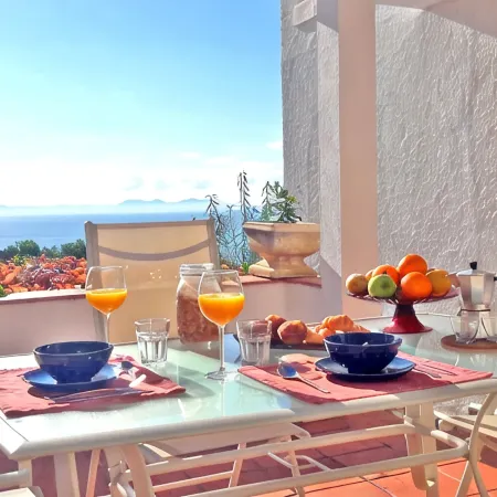 Stunning seaview apartment 2 terraces & parking