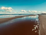 Duck Oceanfront, Amazing Views, Pool, Hot Tub, Pet Friendly, Resort Neighborhood - Beach