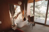 Villa Cicolina - Villas