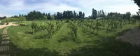 Safranière des Sorgues - Villas