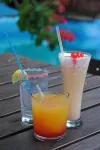 Omega Tours Eco-Jungle Lodge - bar