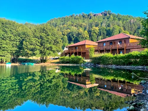Lac des Graves - สัตว์เลี้ยง