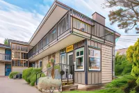 Bluebird Motel - Pet Friendly