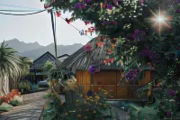 Sakura House - Vuon Dao