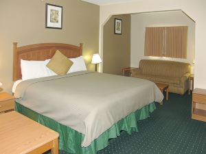 Holland Inn and Suites