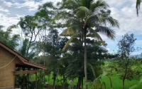 Cianjur Paddies Hostel Các khách sạn ở Cugenang