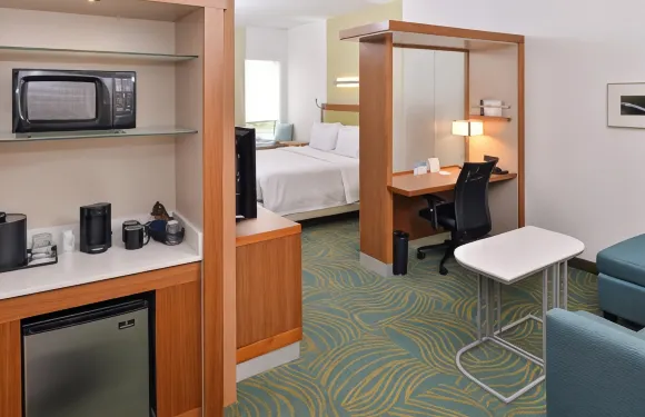 羅利卡瑞SpringHill Suites 酒店