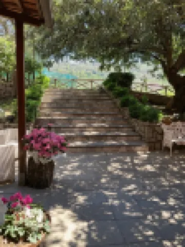 Agriturismo Nonno Luigino Hotels in Vico Equense