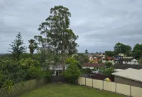 Bluetongue Hideout Hotel a 