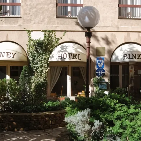 Hotel Biney