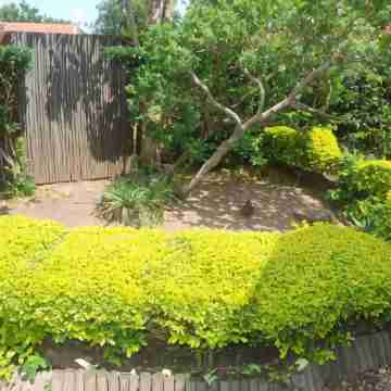 De Charmoy Riverside Hotel Exterior