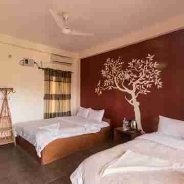 Eden Jungle Resort Rooms