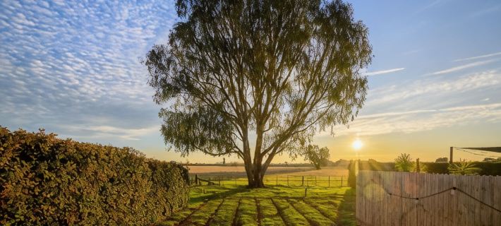 Church Lane Accommodation, Milawa. Hotel di Wangaratta