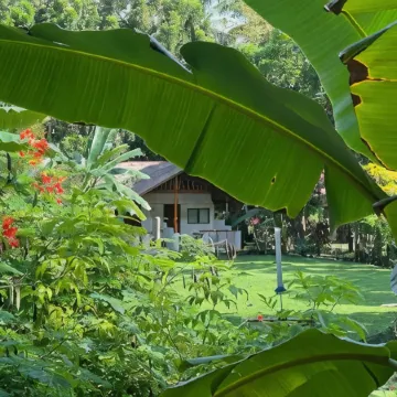 Nypa Style Resort Camiguin