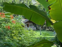 ไนปา สไตล์รีสอร์ท กามิกิน โรงแรมใน