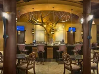 Desert Diamond Casino - Quầy Bar