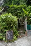 Big Tree Boutique Hotel Hotels in Koh Tao